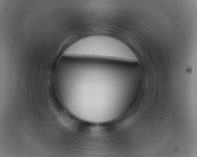 X0000093140216200709261105