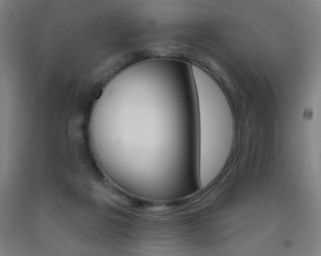 X0000093140217200709261105