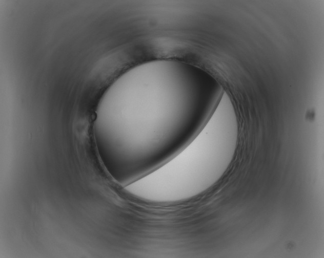X0000093140219200709261105
