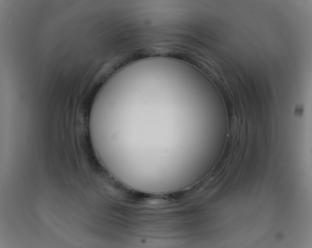 X0000093140220200709261105
