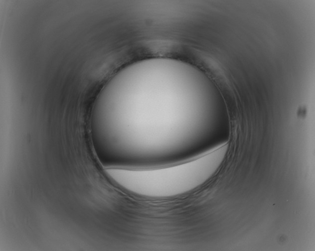 X0000093140221200709261105
