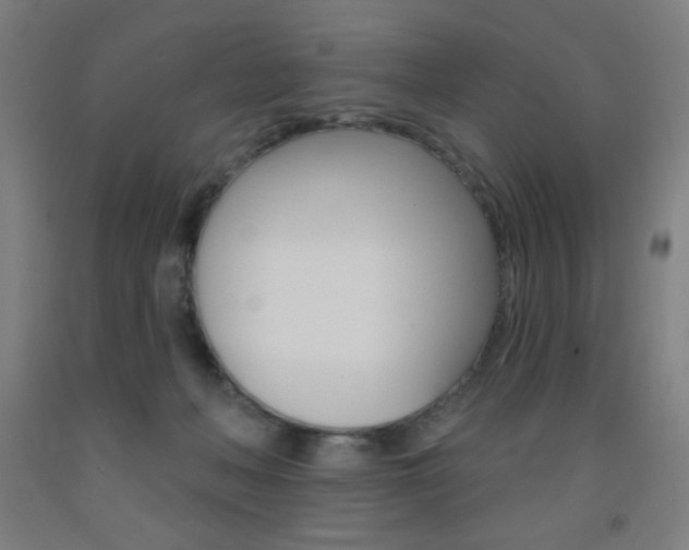 X0000093140222200709261105
