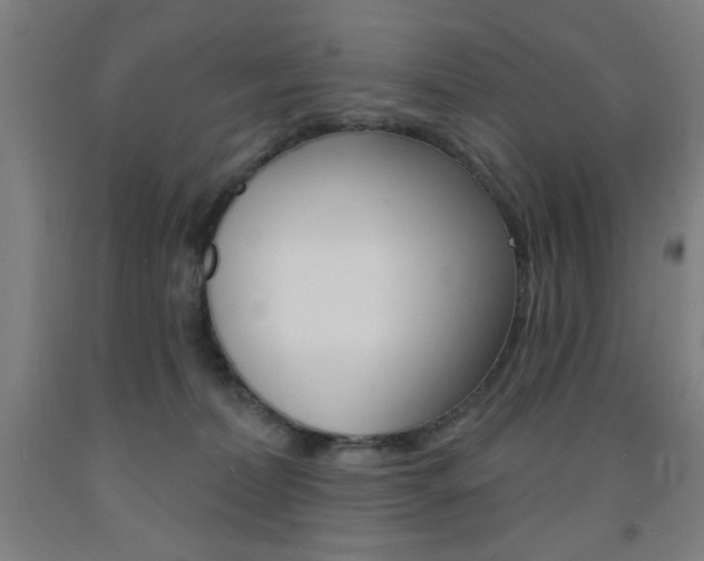 X0000093140228200709261105