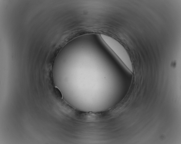 X0000093140229200709261105
