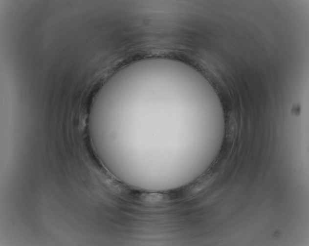 X0000093140230200709261105