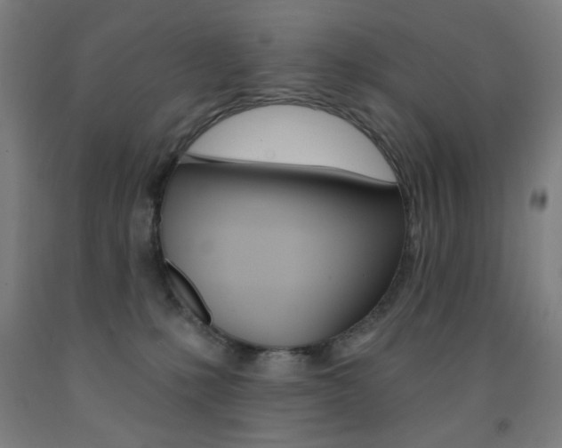 X0000093140231200709261105