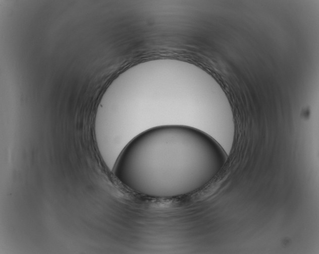 X0000093140235200709261105