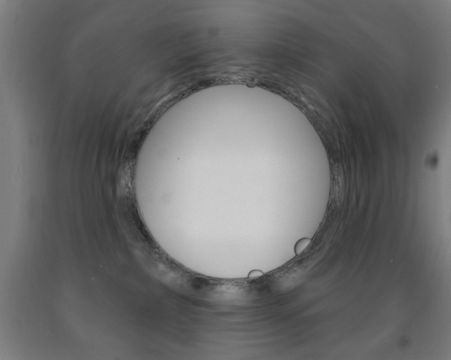 X0000093140236200709261105