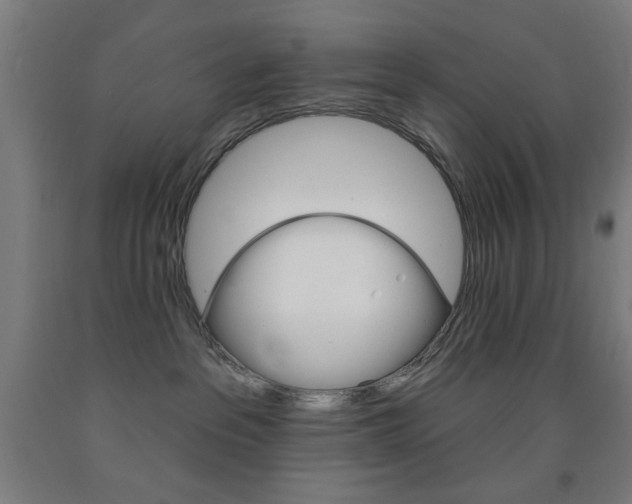 X0000093140237200709261105