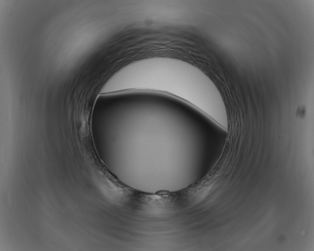 X0000093140239200709261105