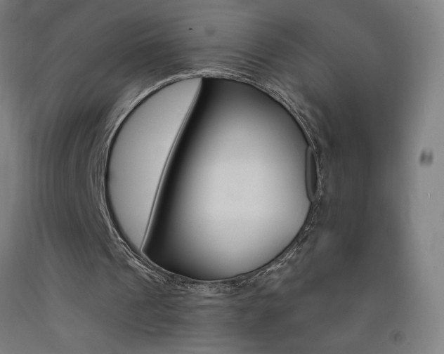 X0000093140241200709261104
