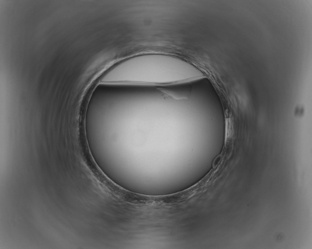 X0000093140243200709261104