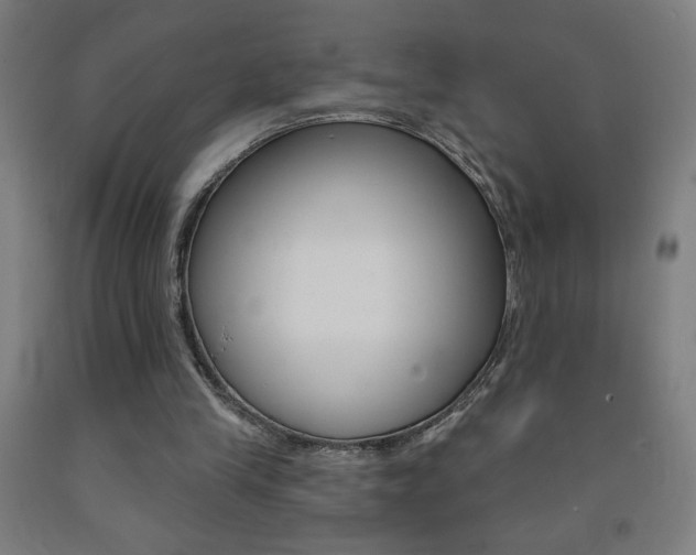 X0000093140245200709261104