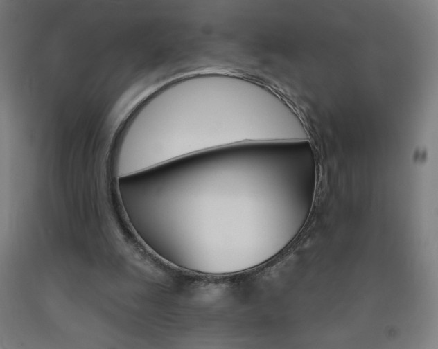 X0000093140247200709261104