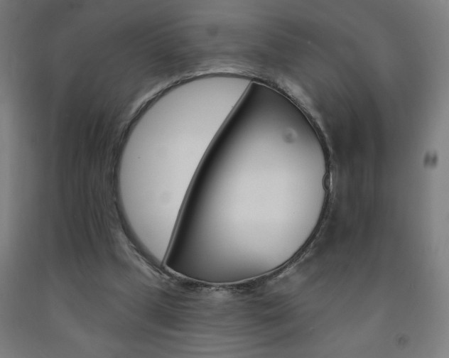 X0000093140249200709261104