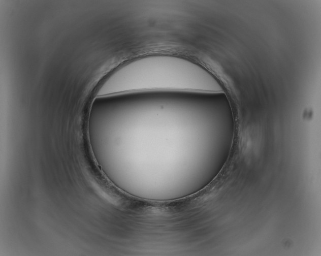 X0000093140250200709261104