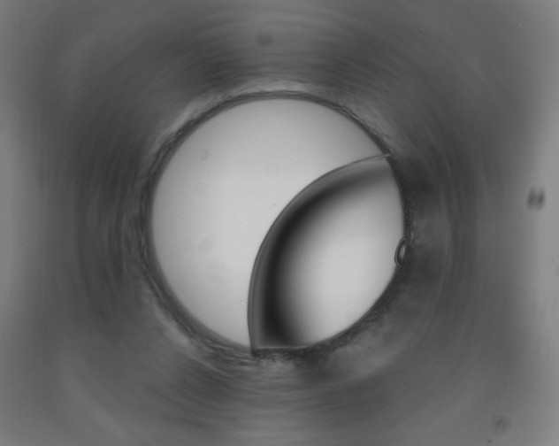 X0000093140256200709261104