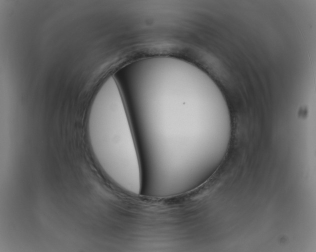 X0000093140258200709261104