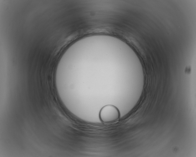 X0000093140260200709261105