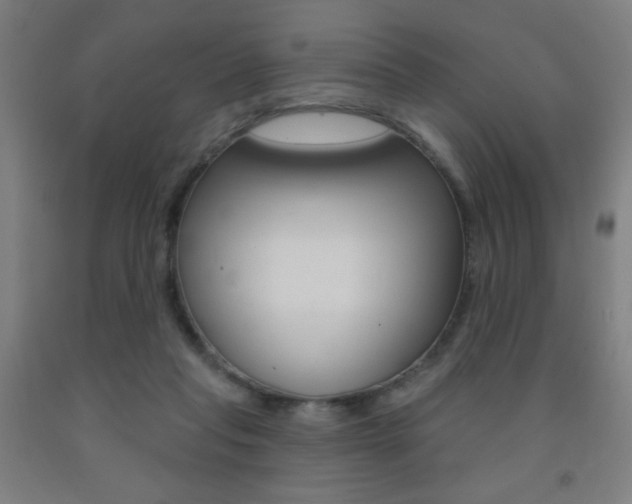 X0000093140261200709261105