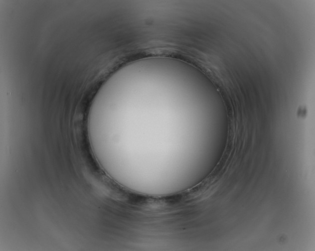 X0000093140263200709261105
