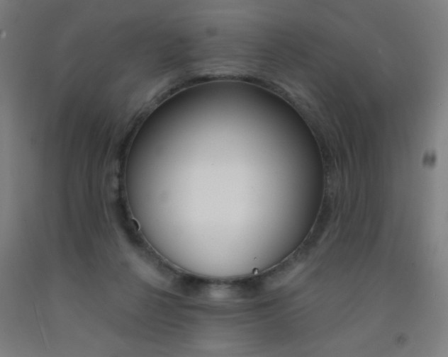 X0000093140264200709261105