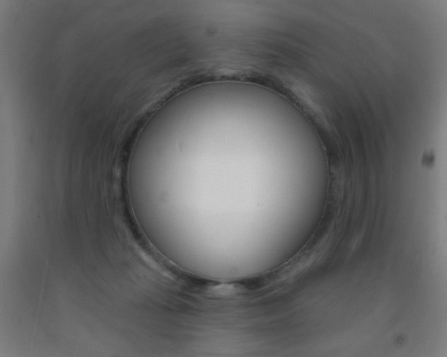 X0000093140269200709261105
