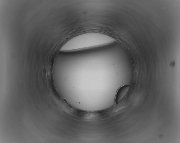 X0000093140274200709261105