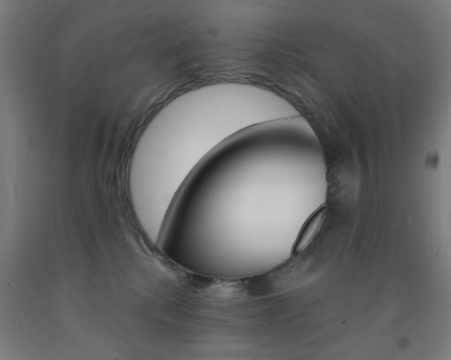 X0000093140280200709261105
