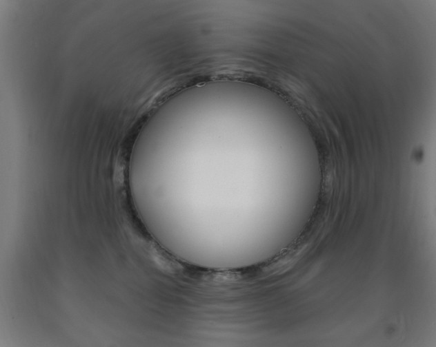 X0000093140282200709261105