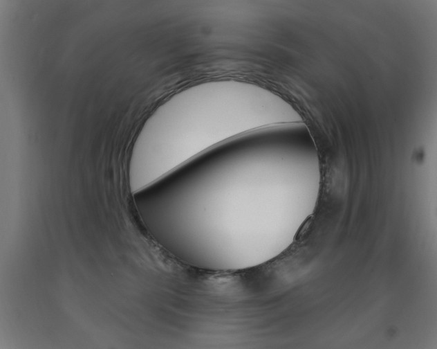X0000093140283200709261105