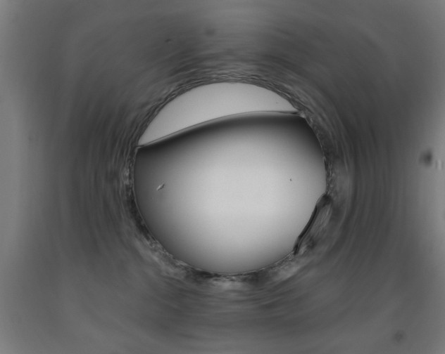 X0000093140284200709261105