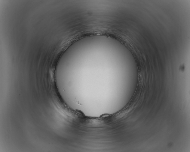 X0000093140286200709261105