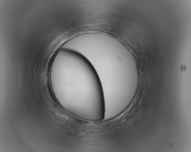 X0000093140290200709261104