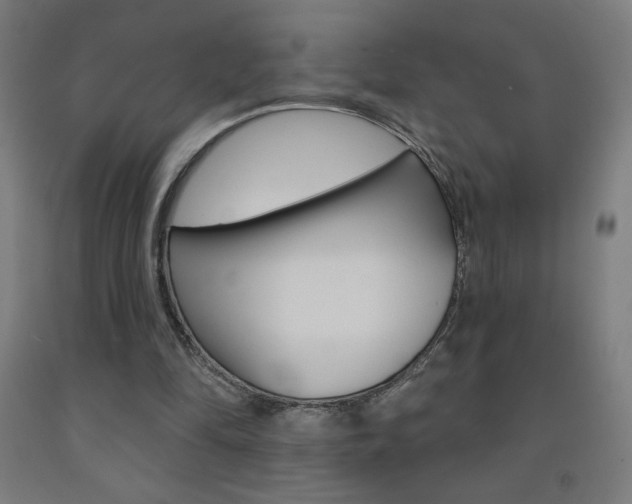 X0000093140294200709261104