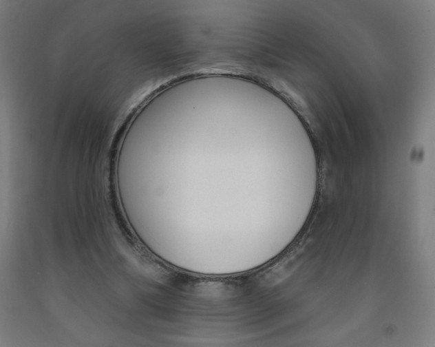 X0000093140298200709261104