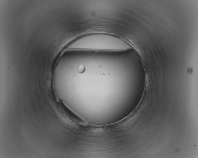 X0000093140301200709261104