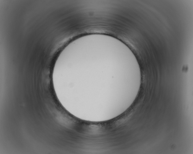X0000093140302200709261104
