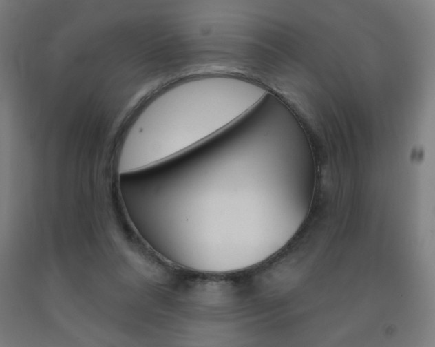 X0000093140304200709261104