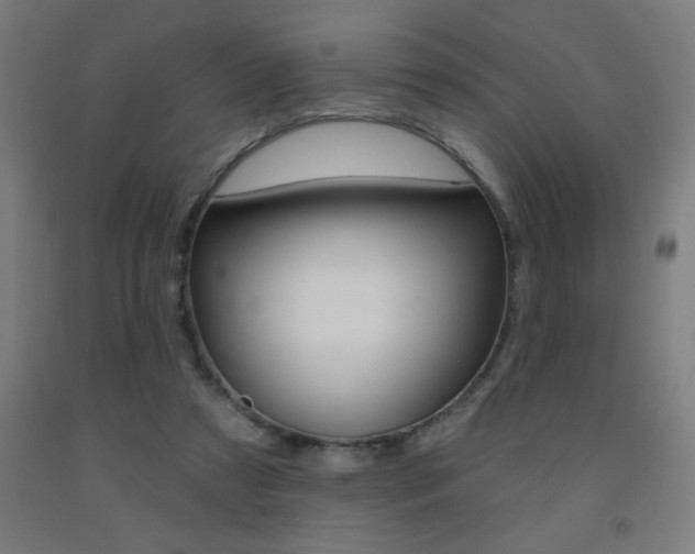 X0000093140305200709261104