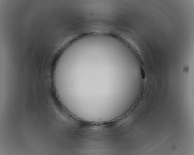 X0000093140306200709261104
