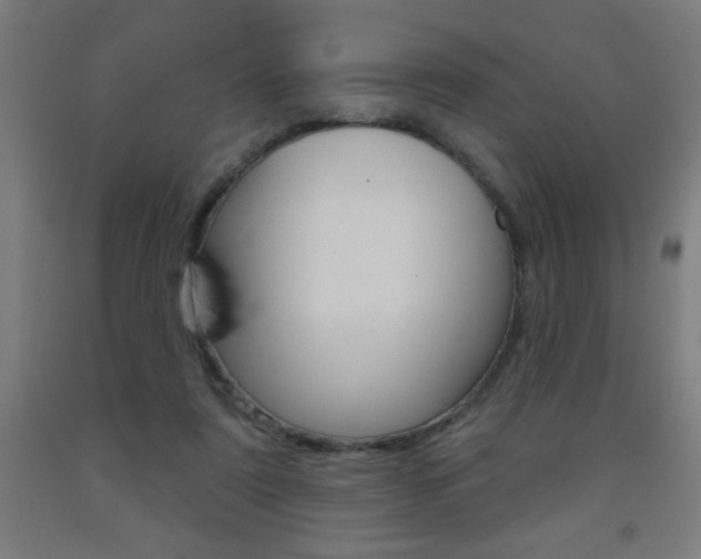 X0000093140307200709261104