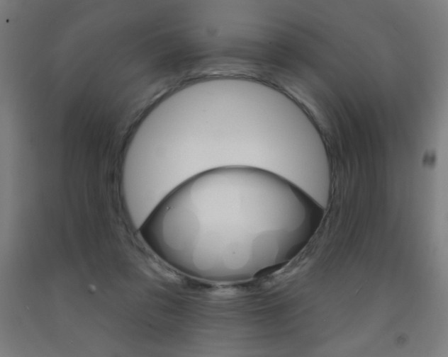 X0000093140309200709261104