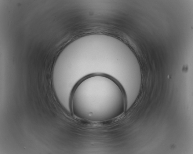 X0000093140313200709261104