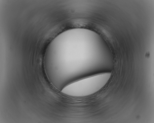 X0000093140315200709261104