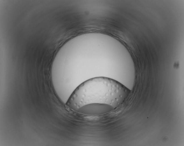 X0000093140317200709261104