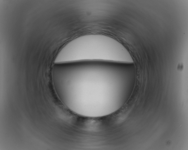 X0000093140319200709261104