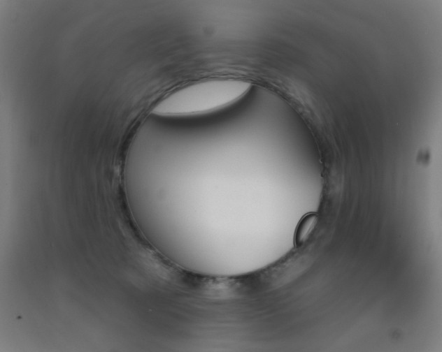 X0000093140321200709261104