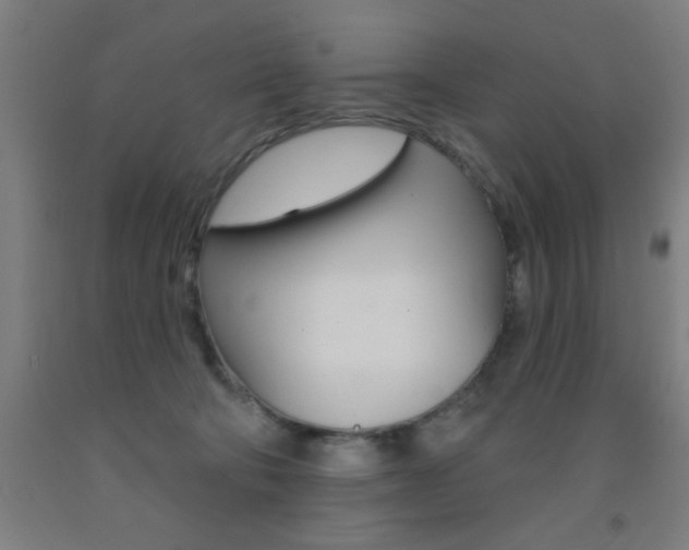 X0000093140322200709261104
