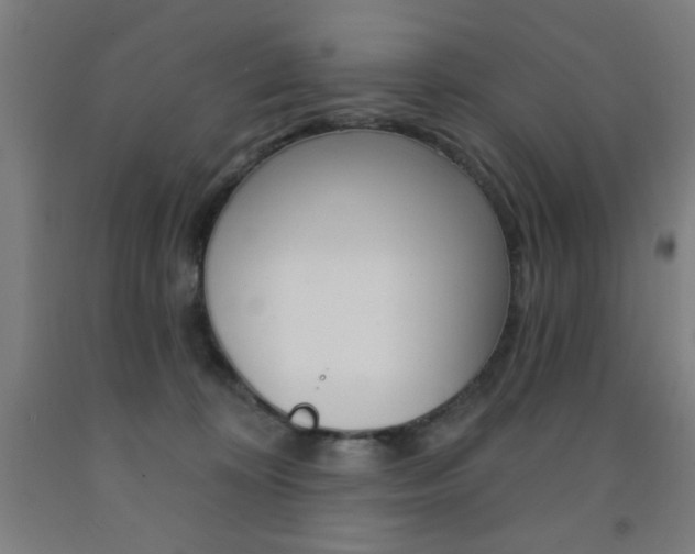 X0000093140324200709261104